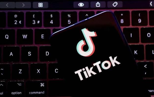 Tiktok Users Record Manual Technology Skills, Traditional Innovation 