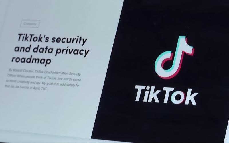TikTok fan-making videos showcase traditional craftsmanship 