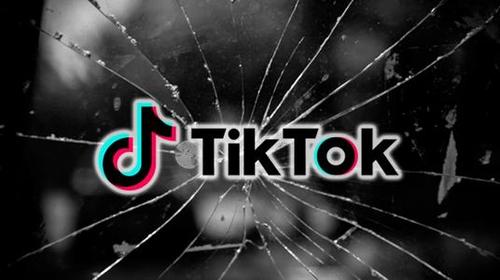TikTok Becomes a Hub for Book Lovers 