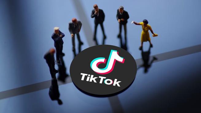 TikTok Becomes a Hub for Book Lovers 