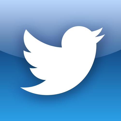 Twitter Adds ‘Crisis Translation’ Services 